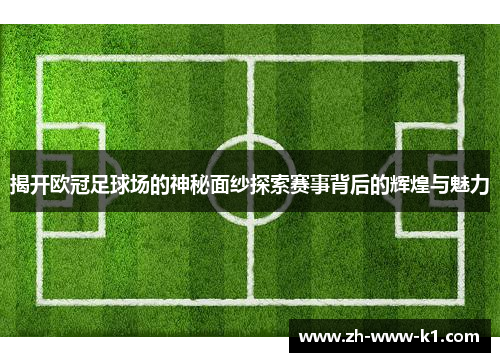 揭开欧冠足球场的神秘面纱探索赛事背后的辉煌与魅力
