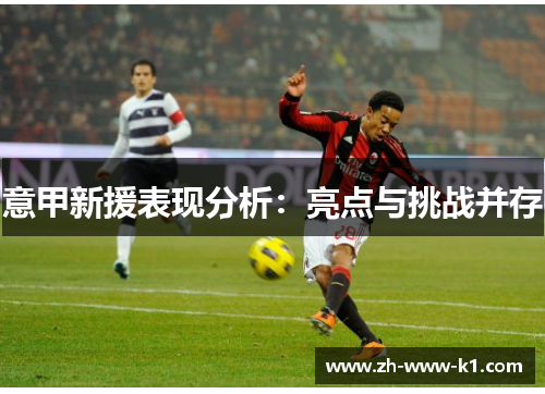 意甲新援表现分析：亮点与挑战并存
