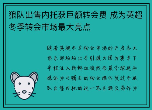 狼队出售内托获巨额转会费 成为英超冬季转会市场最大亮点 狼队出售内托获巨额转会费 成为英超冬季转会市场最大亮点